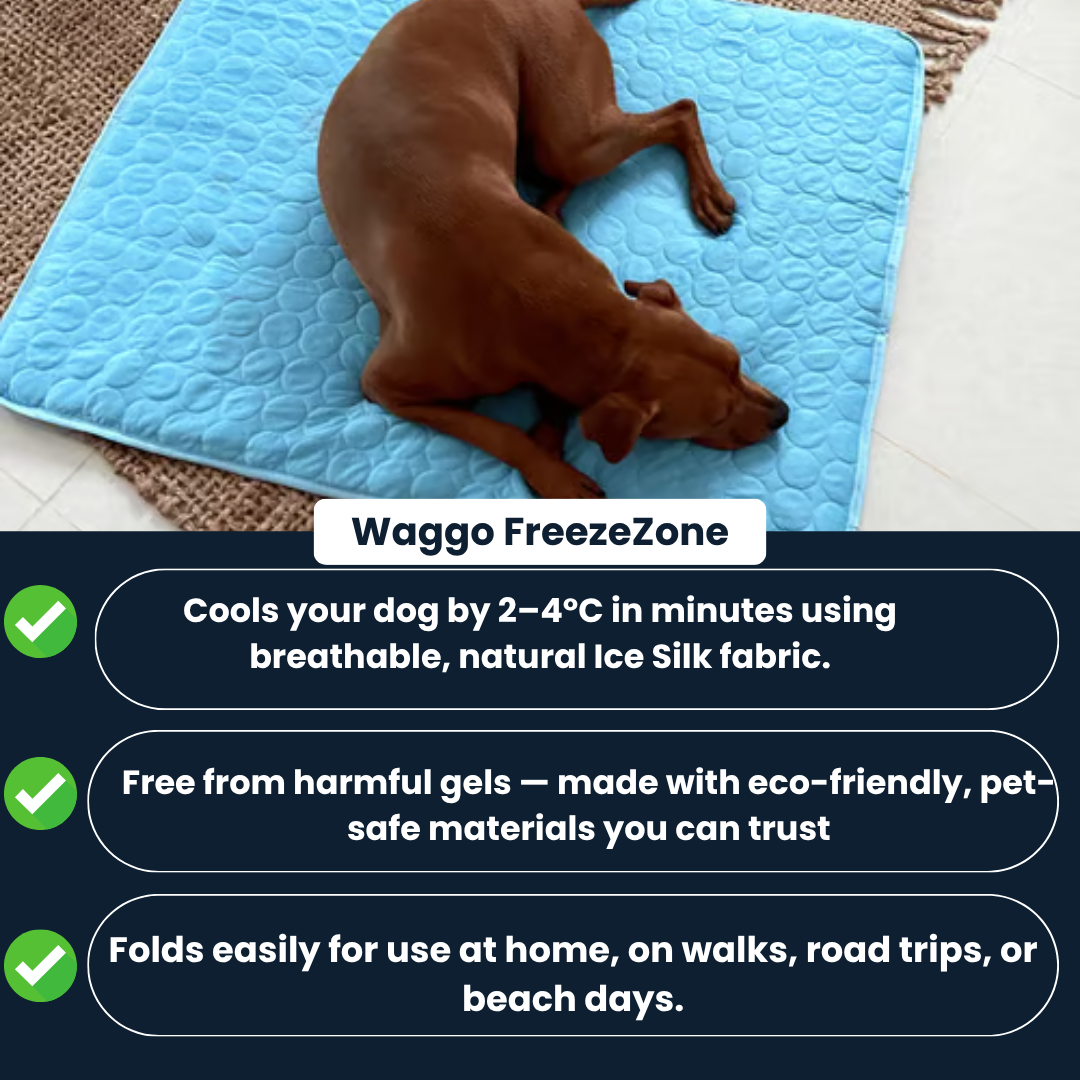 Waggo FreezeZone⢠(2+1)